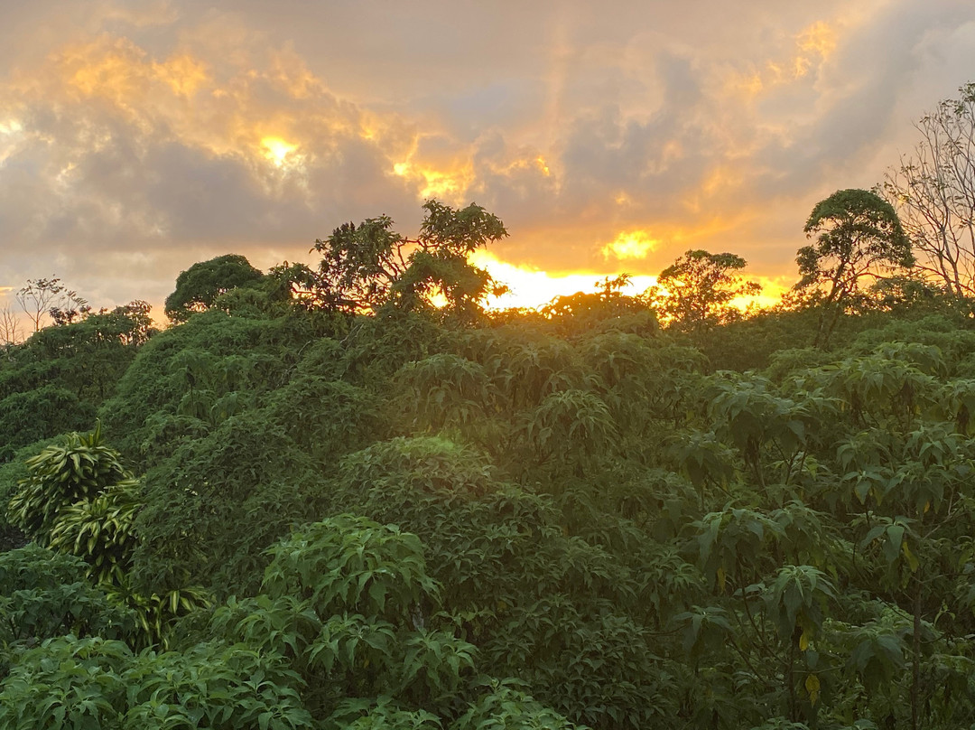 瑟米拉维尔德精品酒店主图