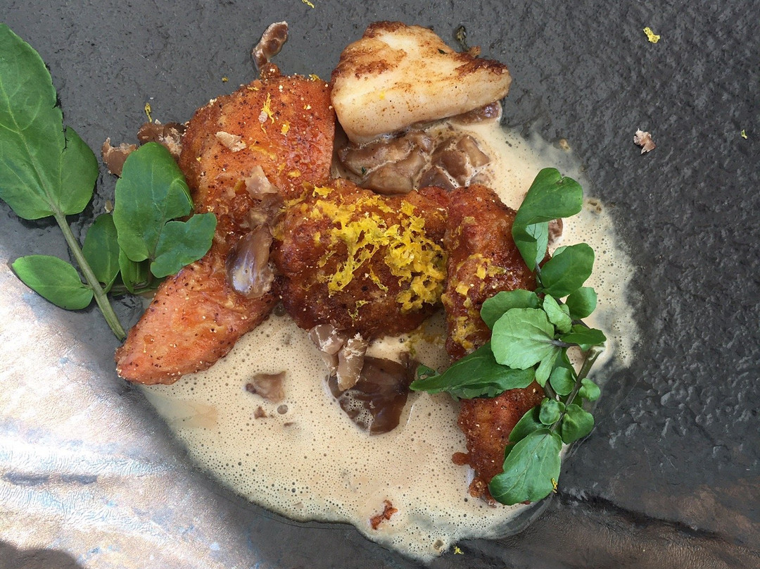 Creation-赫曼努斯必去景点