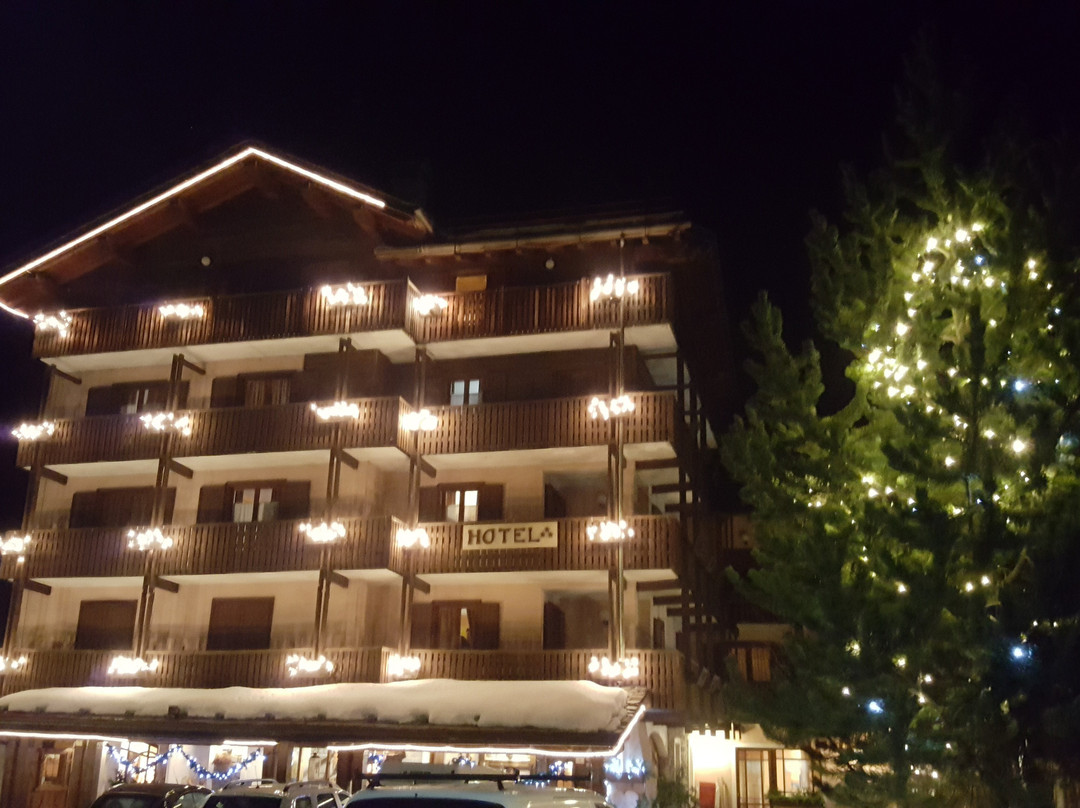 Hotel Vallée de Cogne主图