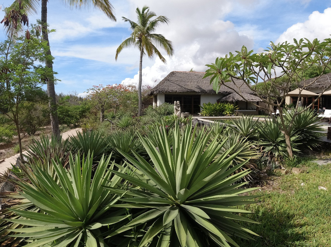 Chuiba Bay Lodge主图