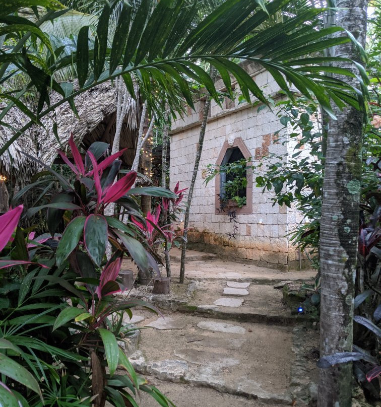 La Selva Mariposa主图