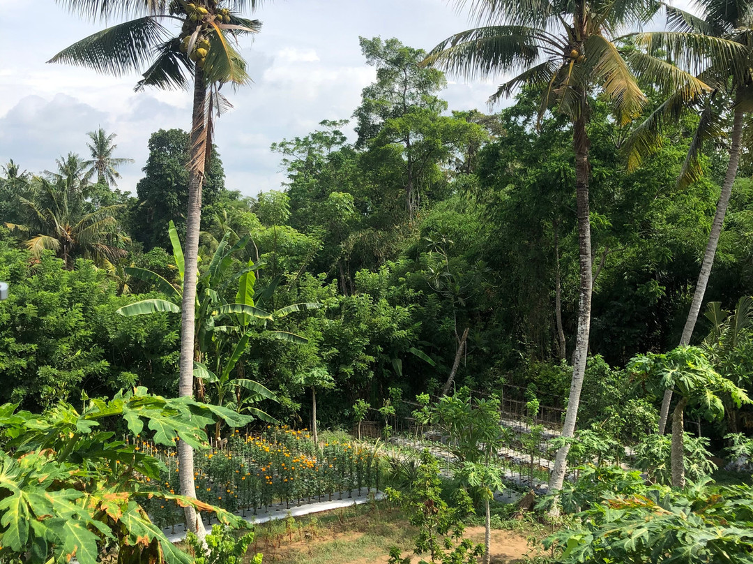 The Mudru Resort by GenuineHost主图