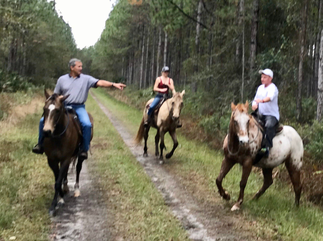 Deep Creek Stables-Pierson必去景点