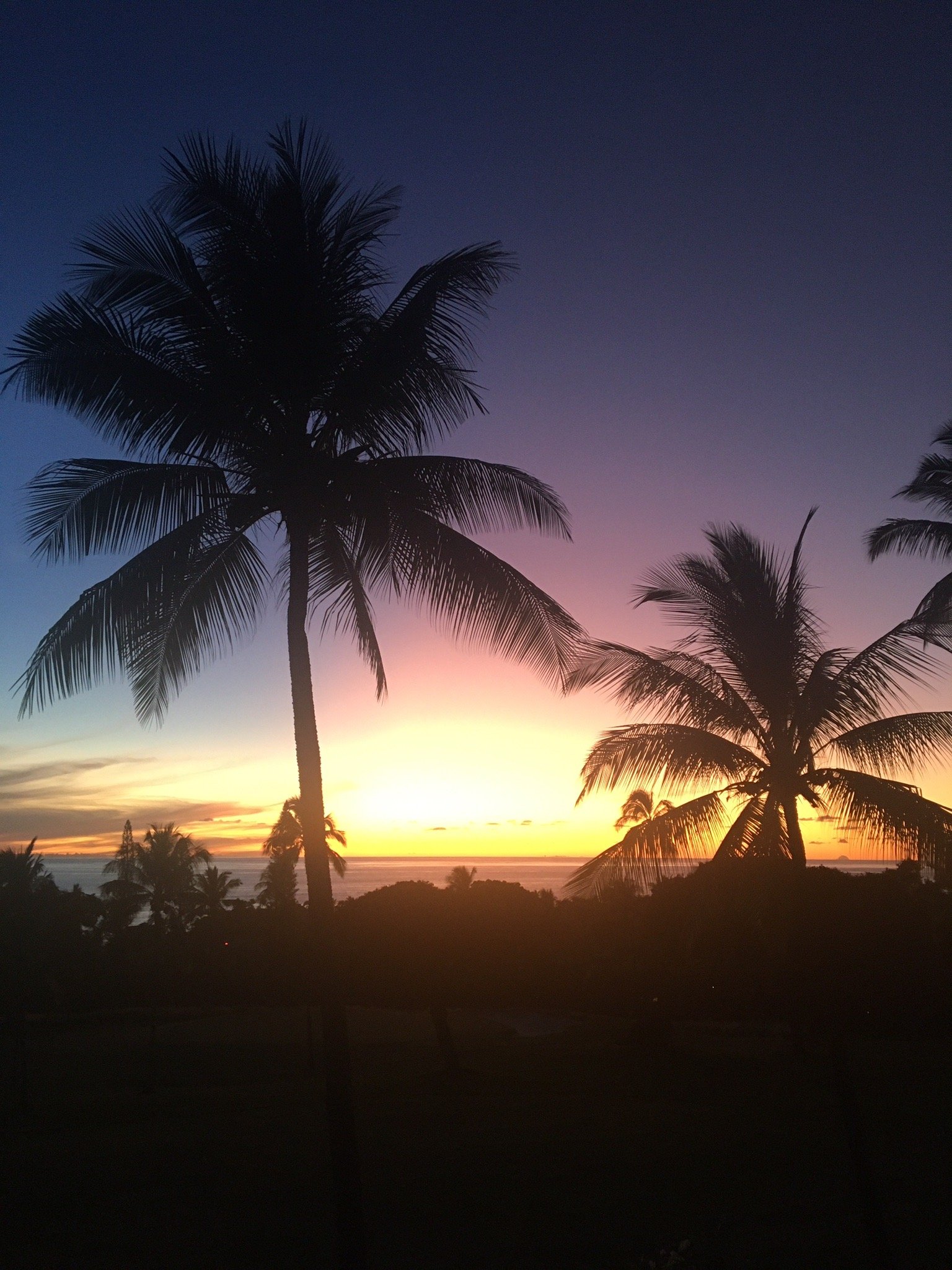 科纳海滨之家-官方