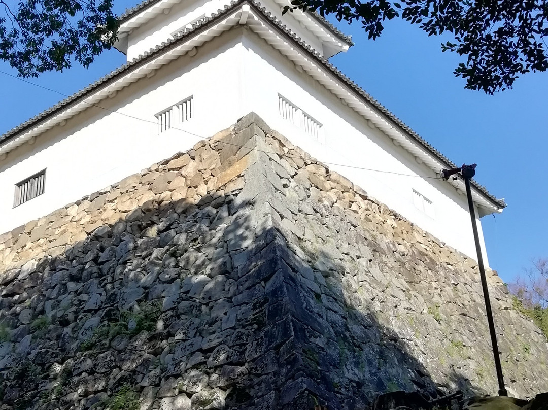 Hikone Castle Tembin Tower景点图片