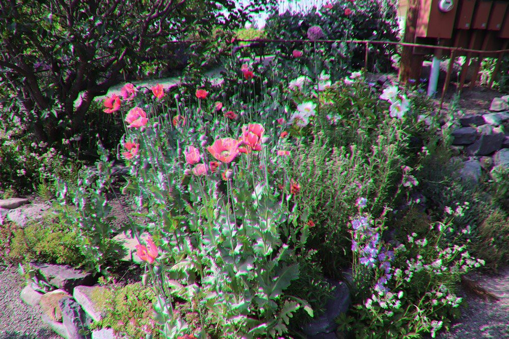 Gatiss Gardens-卡利斯佩尔必去景点