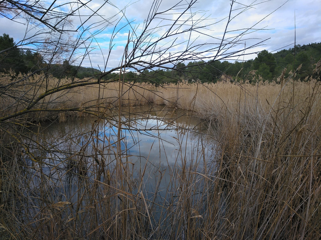 Reserva Natural de Sebes-Flix必去景点