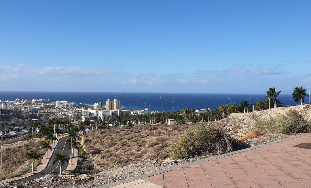 Tuk Tuk Tenerife-奥德杰海岸必去景点