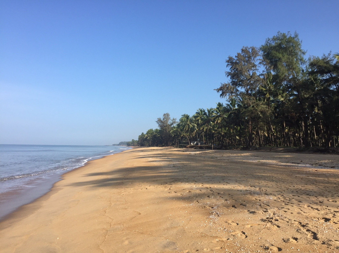 Kappil Beach景点图片