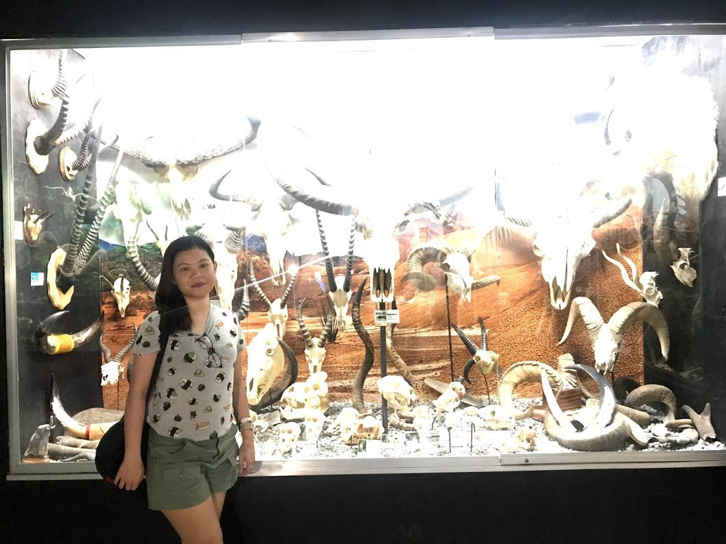 D' Bone Collector Museum-达沃必去景点