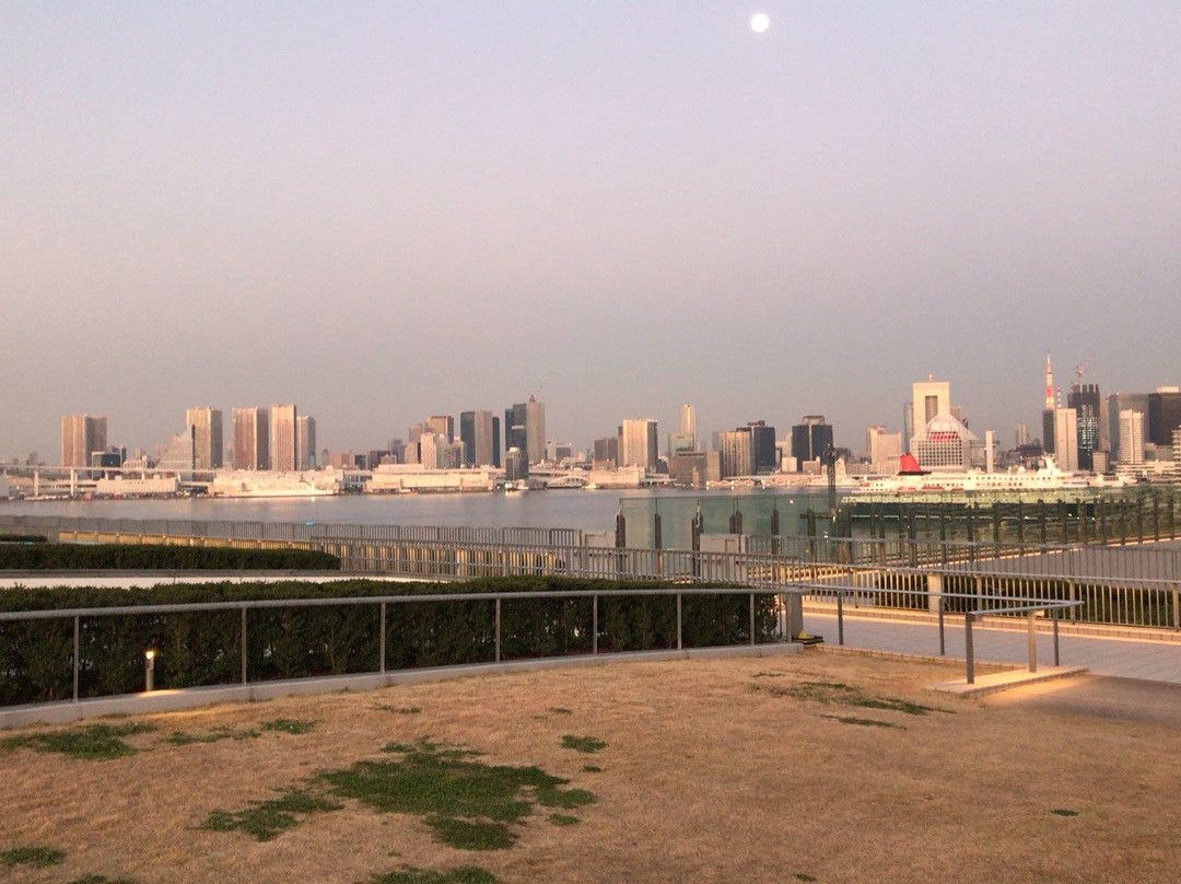 Toyosu Market Rooftop Garden-Toyosu必去景点