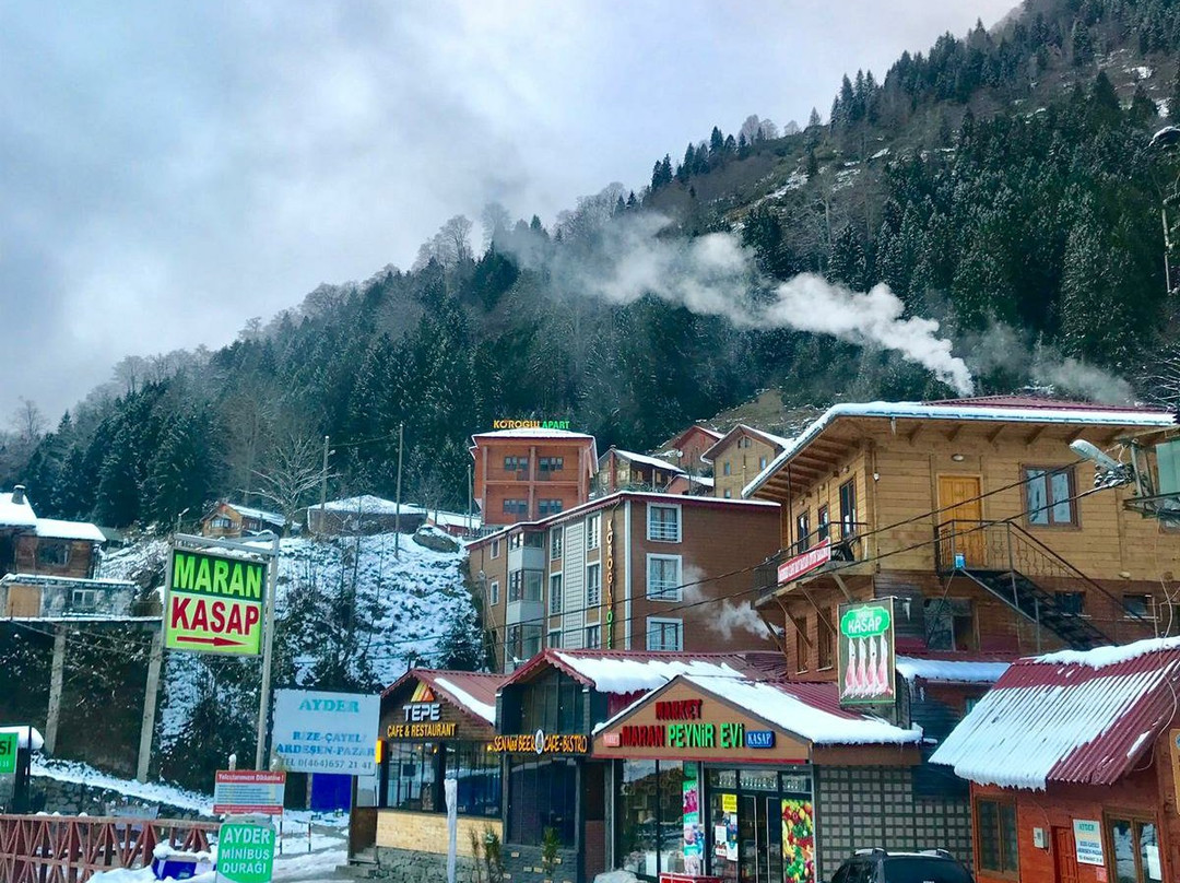 Uzungol Duyuf Hotel主图