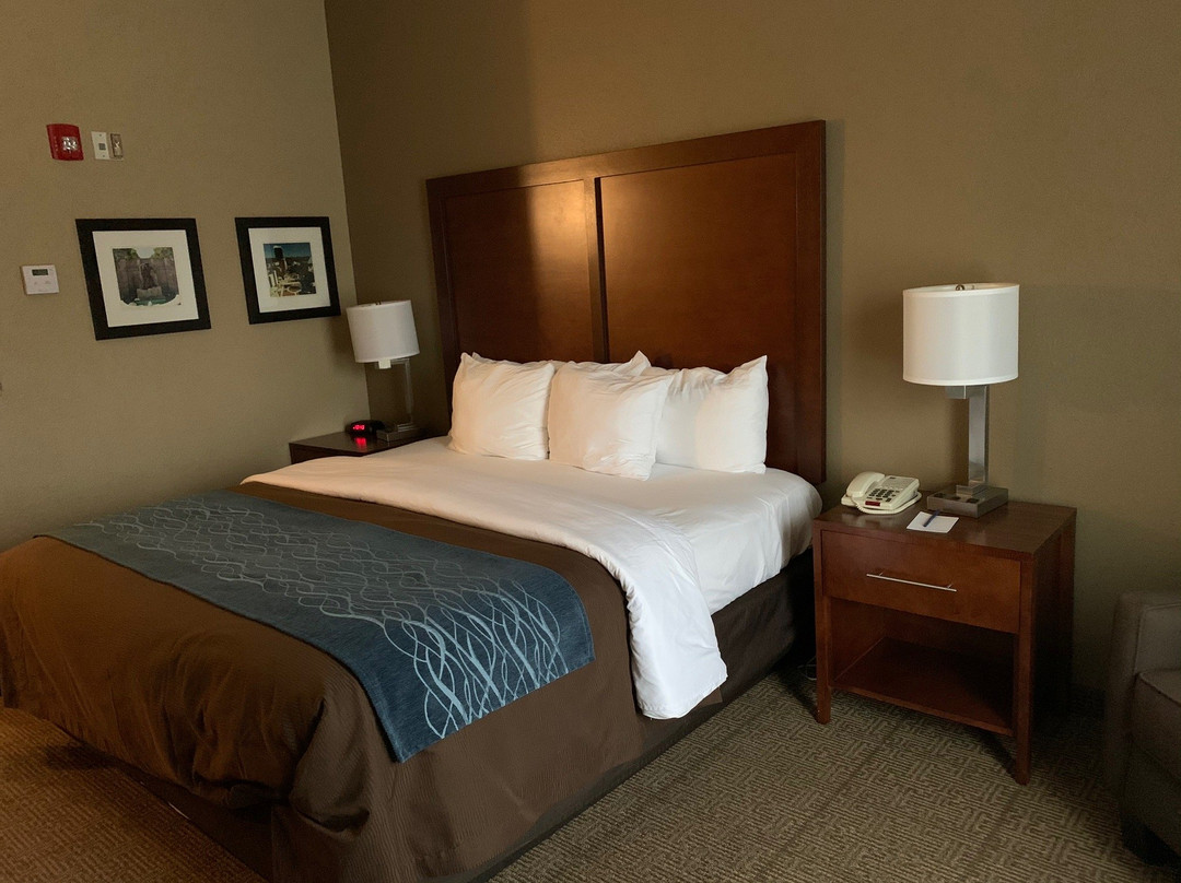 Comfort Inn & Suites Lynchburg Airport - University Area主图