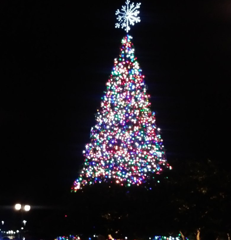 Crane's Roost Park-阿尔塔蒙特斯普林斯必去景点