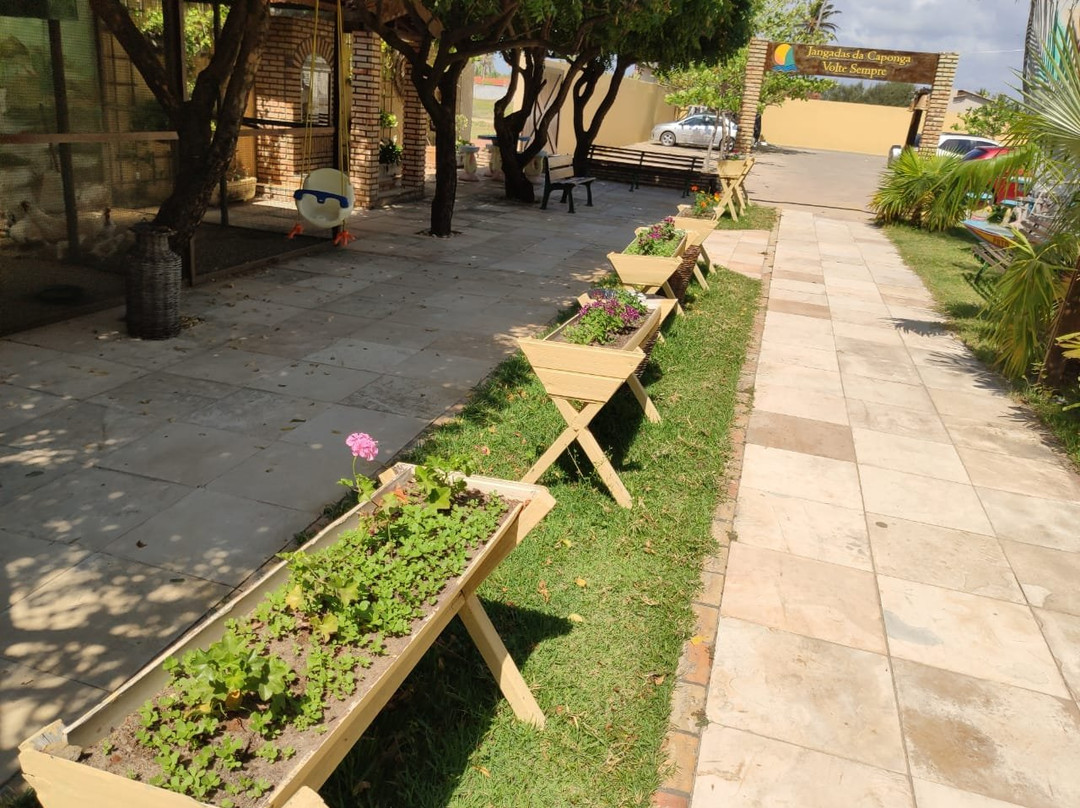 Hotel Jangadas主图