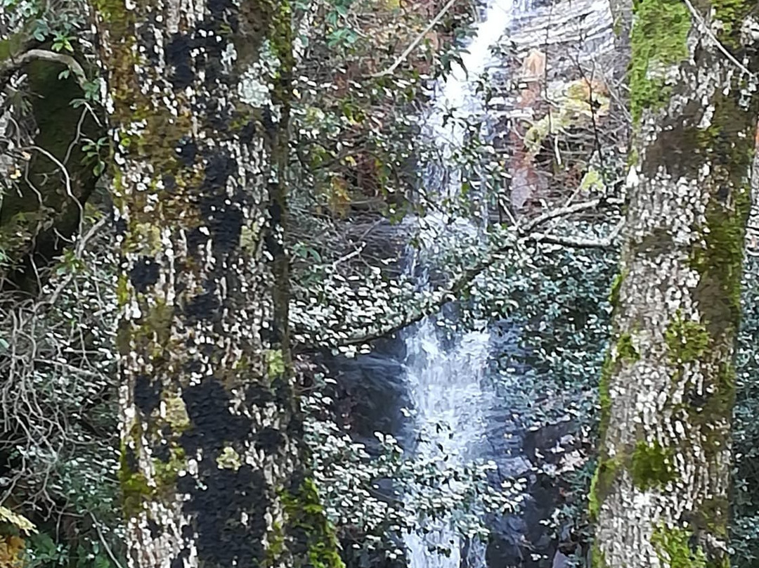 Cascada Del Chorro景点图片