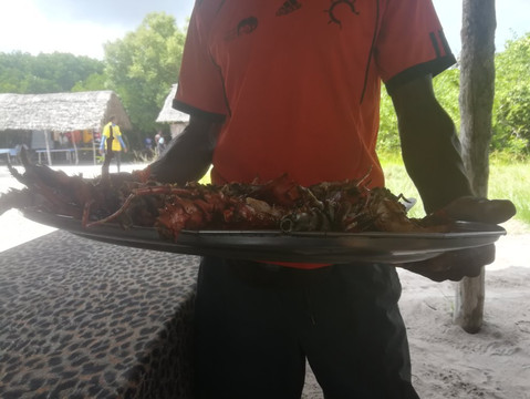 Vera Africa Tours And Safaris-瓦塔木必去景点