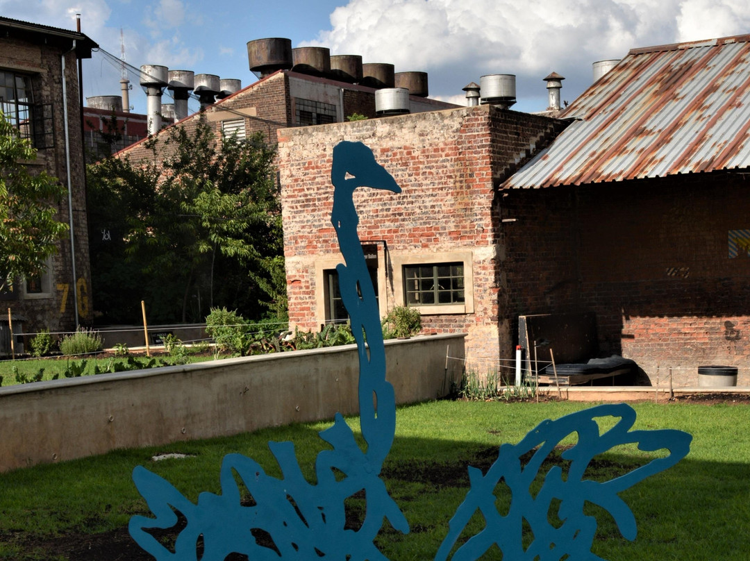 Jozibug Tours-约翰内斯堡必去景点