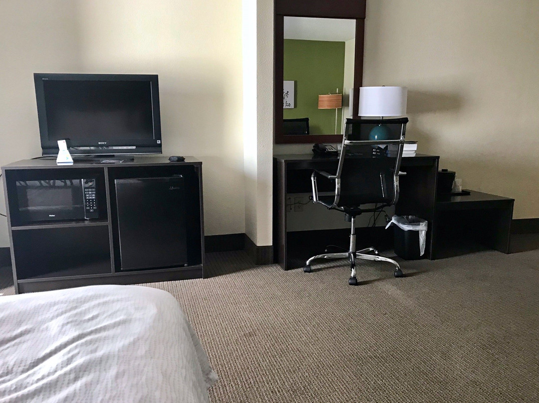 Sleep Inn & Suites Near Fort Gregg-Adams主图