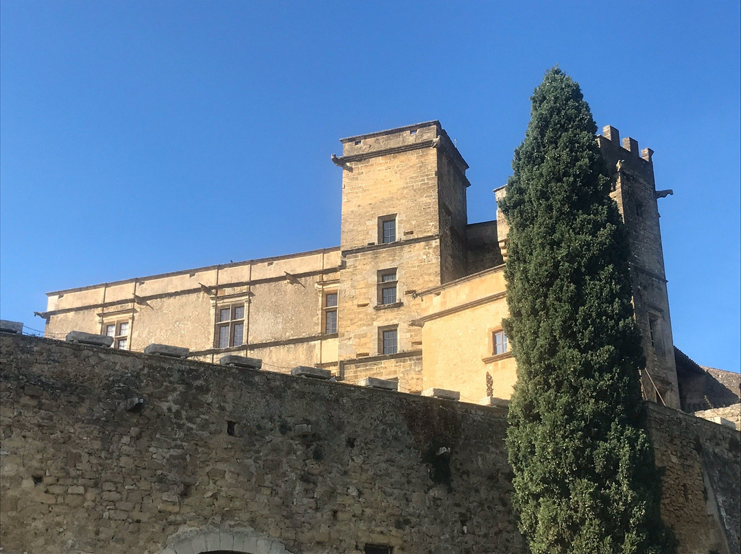 Maison D'Hotes Des jardins主图