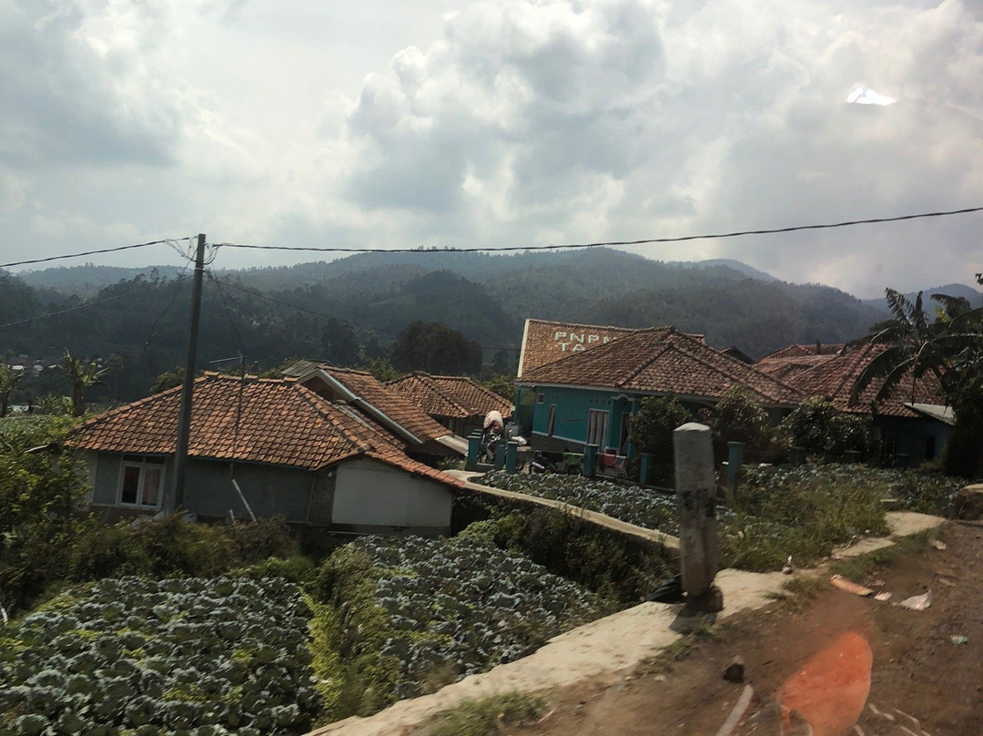 阿玛罗莎酒店主图