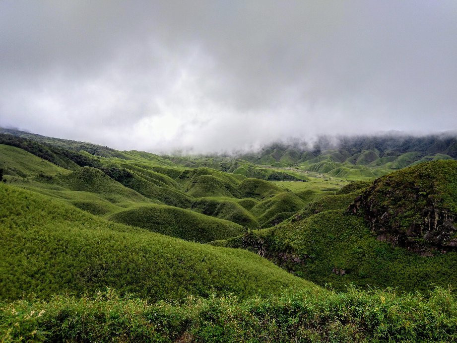 Dzukou Valley景点图片