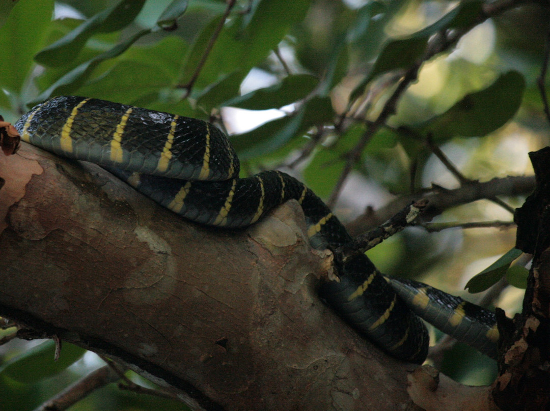 Sungai Kapur-拉哈达图必去景点