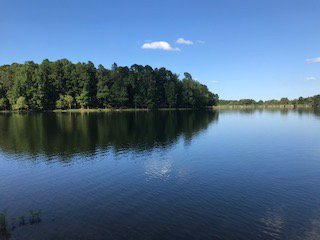 Lake Wedington景点图片