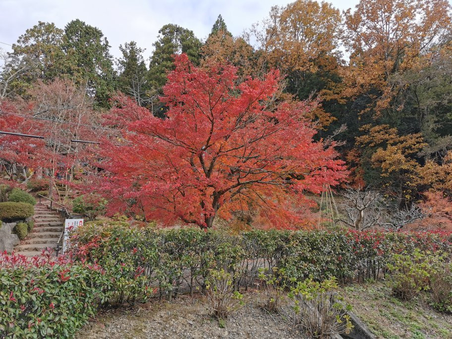 Shakudoji Temple-长滨市必去景点