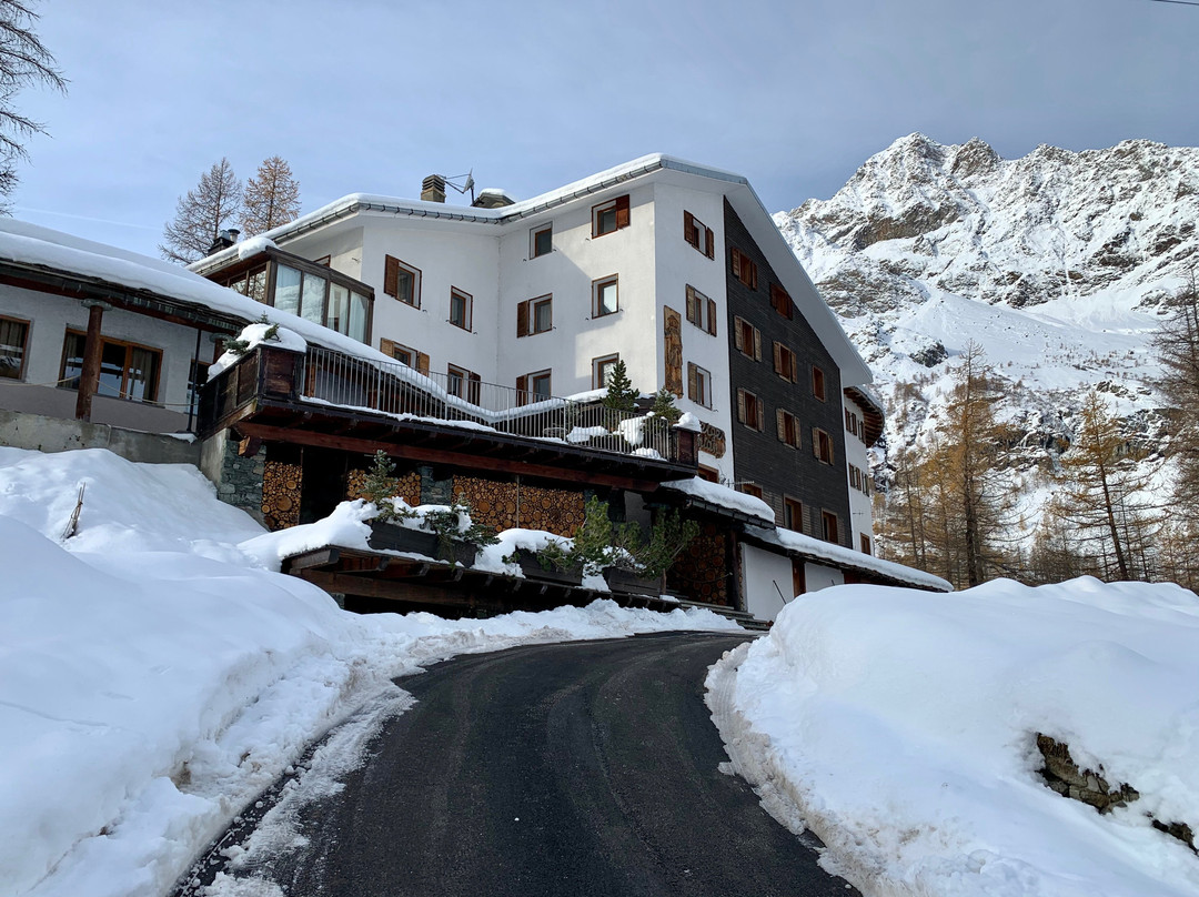 Les Neiges d'Antan主图
