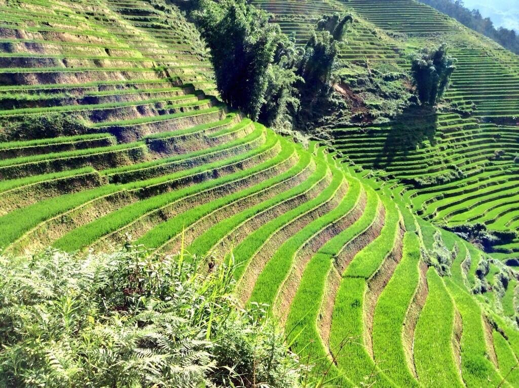 La Pan Tan-Mu Cang Chai必去景点