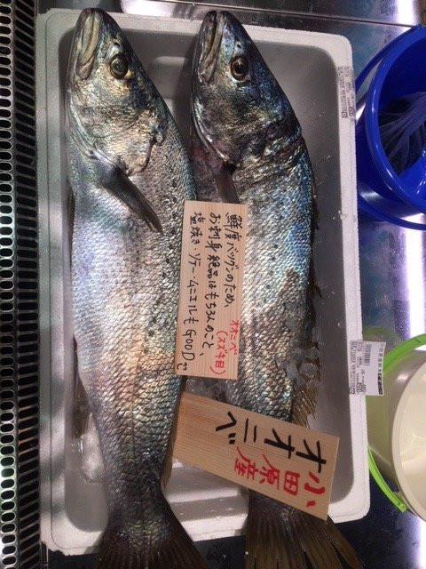 Manadzuru Umi no Eki-真鹤町必去景点