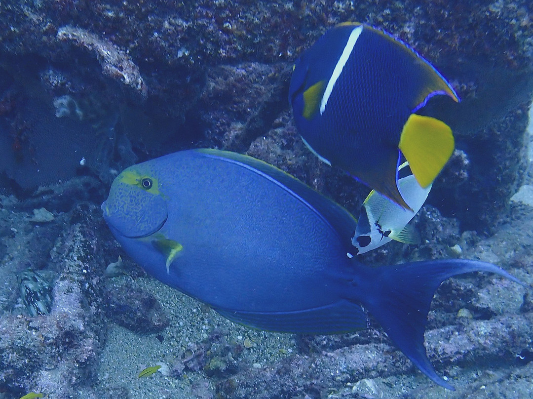 Mar y Sierra-Cabo Pulmo必去景点