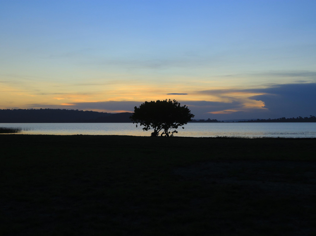 DARIUS TOURS-坎帕拉必去景点