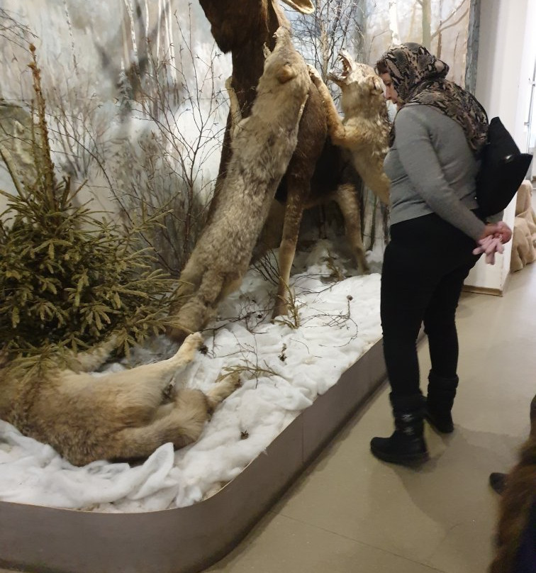 Galich Museum of Local Lore景点图片