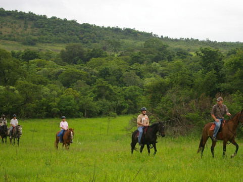 Tours and Tickets South Africa-雾观必去景点