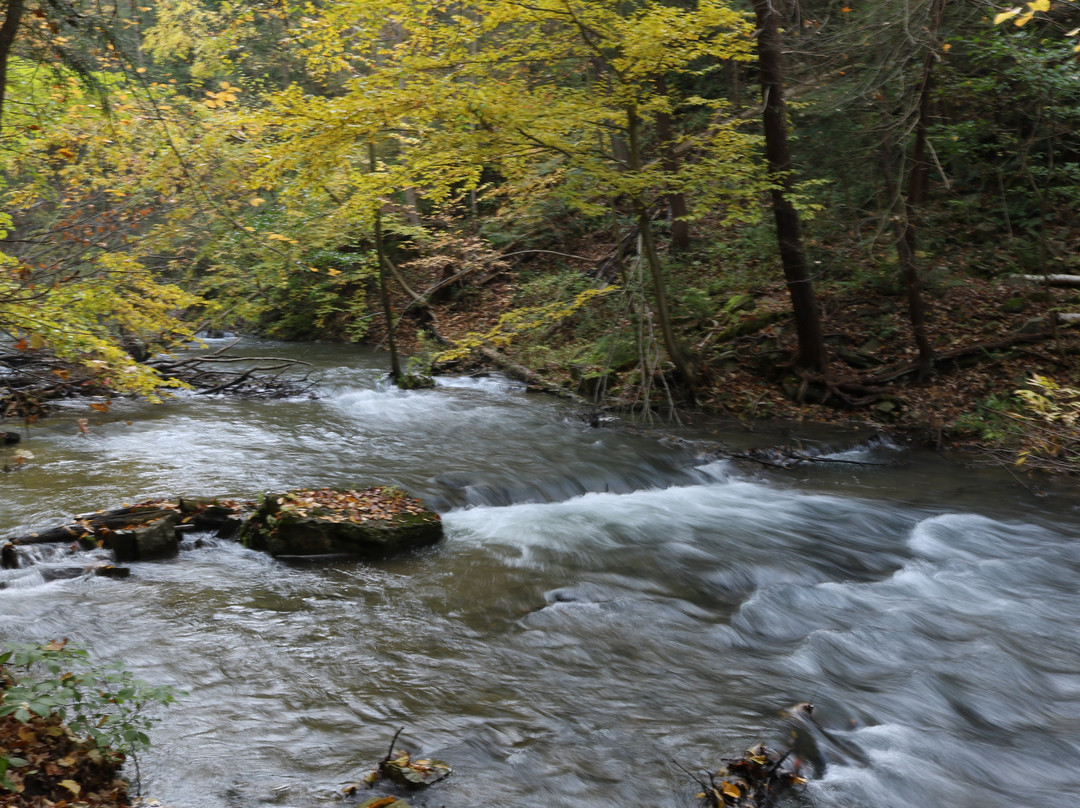 Decew Falls-圣凯瑟琳斯必去景点