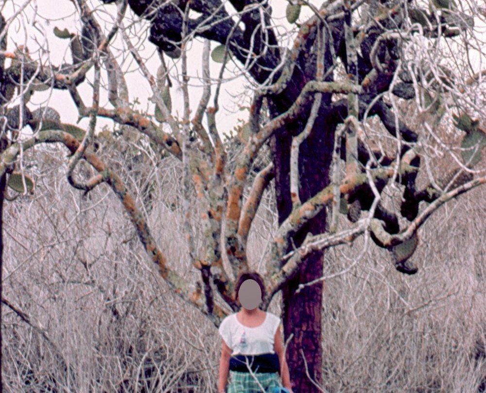 Parque Nacional Galapagos-加拉帕戈斯群岛必去景点