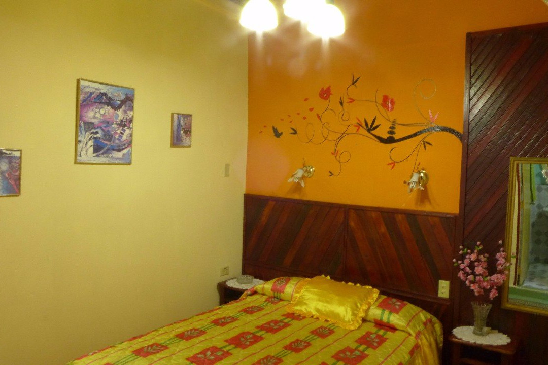 Casa Colonial Andres Abella主图