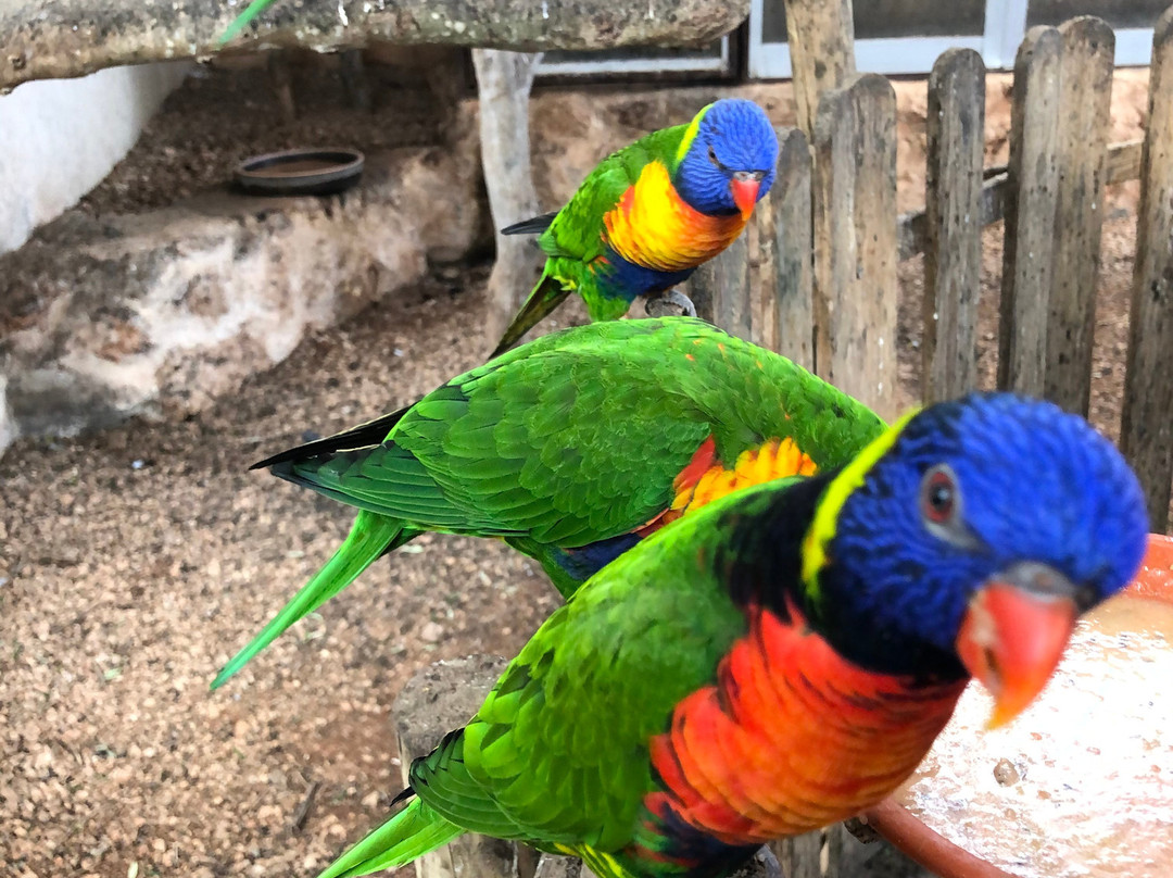 Natura Parc景点图片