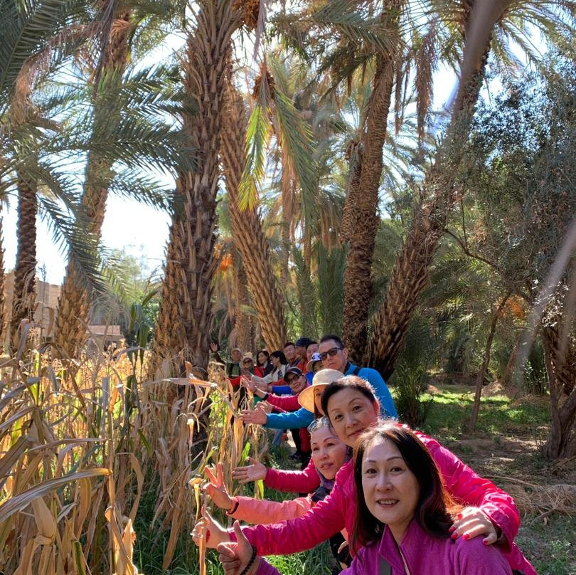 Siroco Tours-卡萨布兰卡必去景点