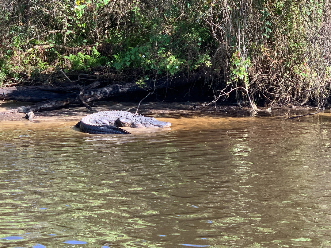 Peace River Boat Tours-阿卡迪亚必去景点