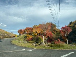 Mt. Shinnyuzan景点图片