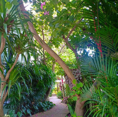 金达度假村 主图