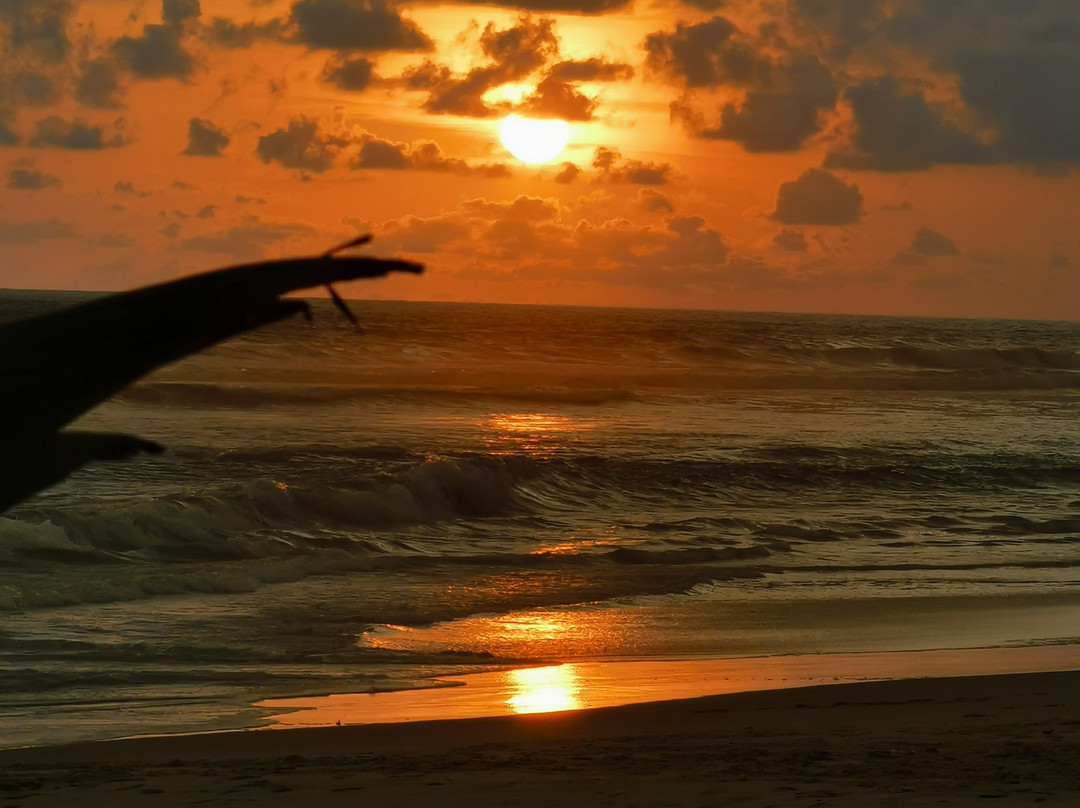 Hotel La Pirogue Auberge主图