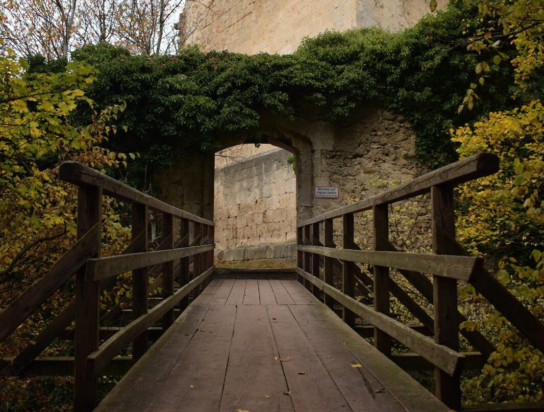 Ruine Rauheneck-巴敦必去景点