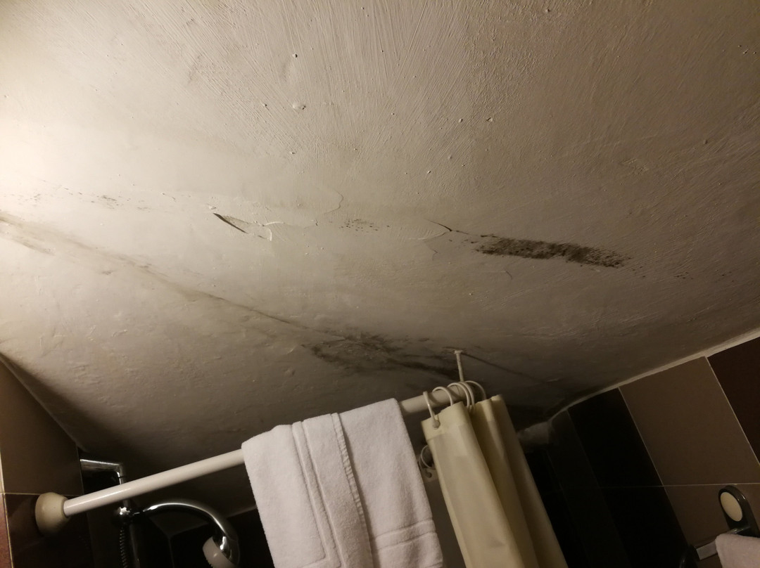 Hotel Villa Conte Riccardi主图