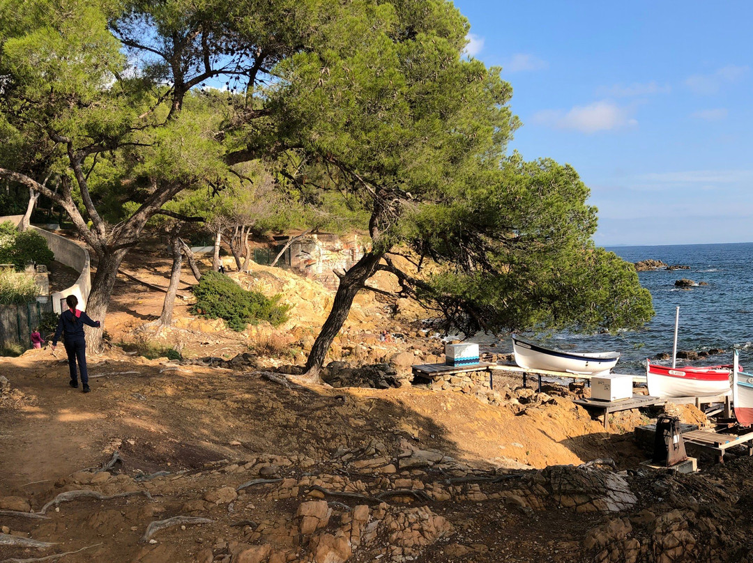 Plage de la Verne景点图片