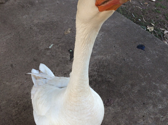 Gnarly Tours-Agnes Water必去景点