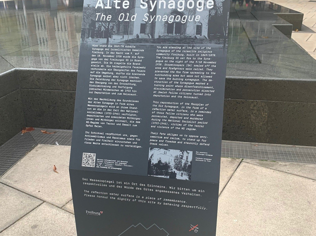 The Old Synagogue Square-佛莱堡必去景点